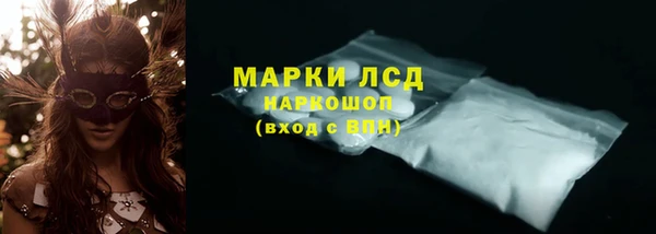 индика Аркадак