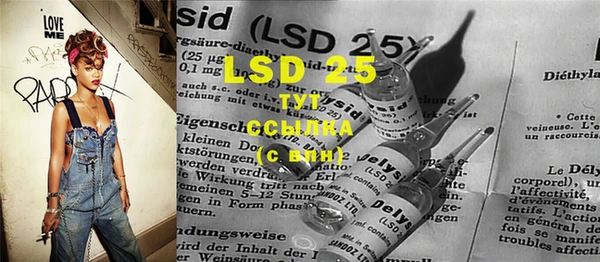 индика Аркадак