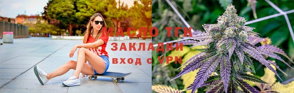 индика Аркадак