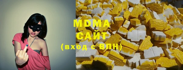 индика Аркадак