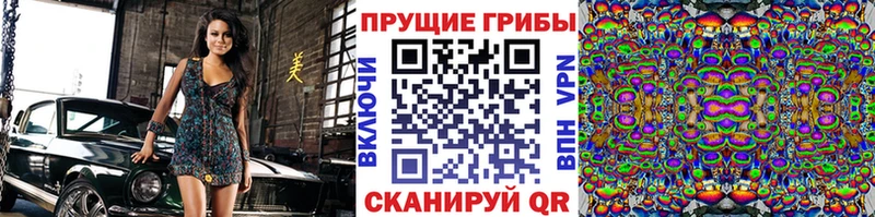 Купить  Сухой Лог  Псилоцибиновые грибы Cubensis 